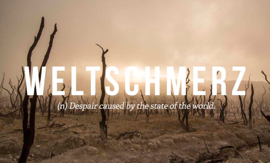 Weltschmerz: Despair caused by the state of the world.
